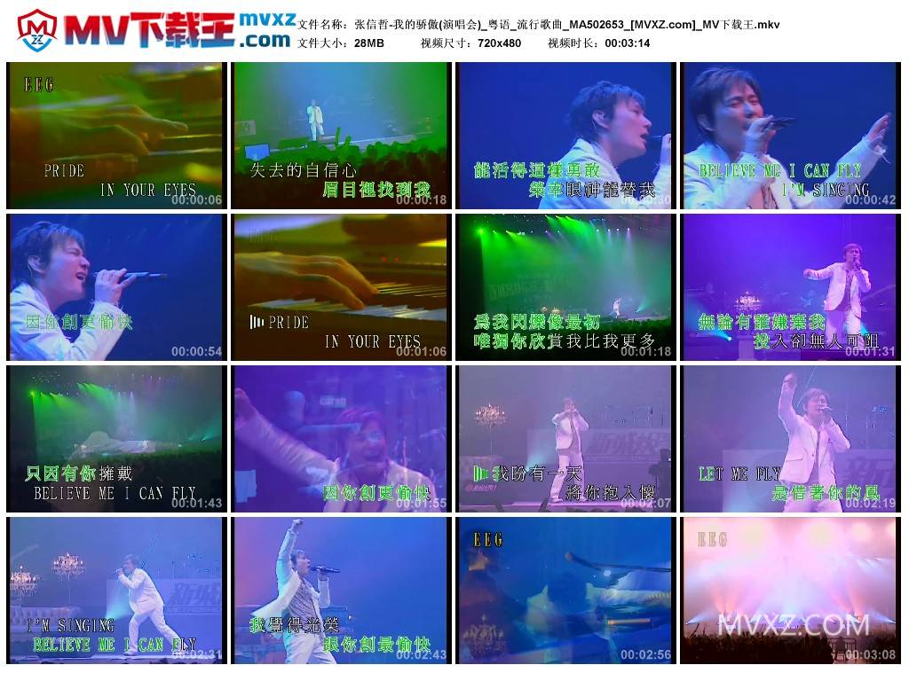 张信哲-我的骄傲(演唱会)_粤语_流行歌曲_MA502653